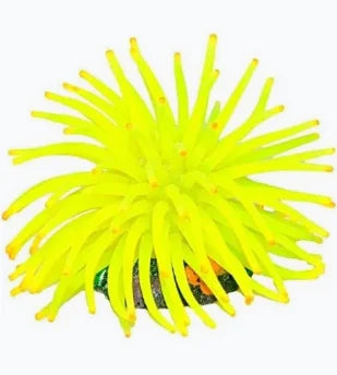 SOMA ENFEITE DE SILICONE  ANEMONA SHORT
