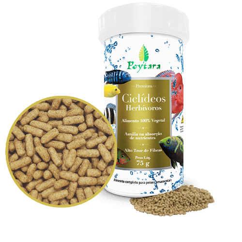 Raçaõ Poytara Ciclideos Herbivoros